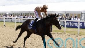 Big-race plans on hold for Haggas stars pending rain