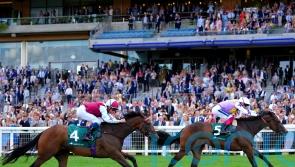 Boughey looking towards York with promising filly Kinta