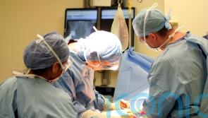 Scotland’s first meniscal cartilage transplant takes place