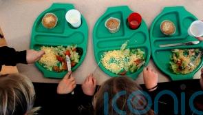 Children who claim free school meals earn less as adults despite education – ONS