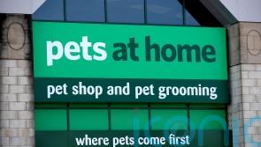 Pandemic pet boom keeps sales growing for Pets At Home
