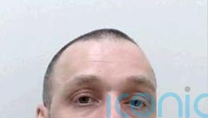 Wanted rapist who absconded from prison may be living ‘off grid’, police say