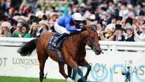 Doyle confident Naval Crown can sparkle at Deauville