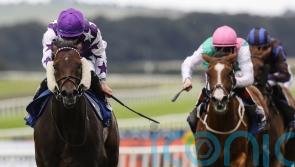Go Bears Go rises to the top in Phoenix Sprint Stakes
