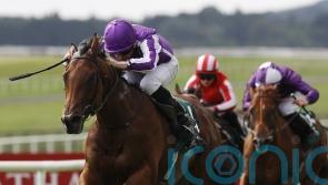 Little Big Bear simply sensational in Phoenix Stakes