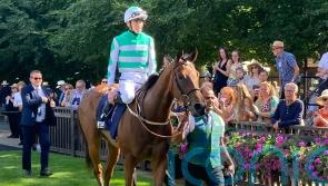Another Sweet success for Johnstons with Lakota Sioux