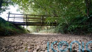 Hosepipes must be banned, Environment Secretary urges water companies