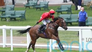 Highfield Princess strikes Group One gold at Deauville