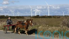 Wind energy provided 34% of Ireland’s power this year, new figures show