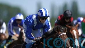 Minzaal to shoot for Group One glory in Sprint Cup