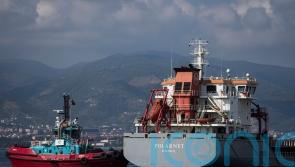 Ship carrying grain from Ukraine arrives in Istanbul