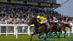 Fahey eyeing autumn options for Perfect Power