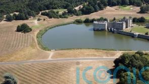 In Pictures: Drought takes its toll on countryside as England changes colour