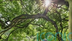 8 stunning gardens to visit this summer