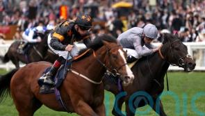Rohaan to hunt Group One gold in Sprint Cup