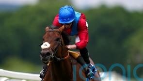 Bay Bridge gearing up for racecourse return
