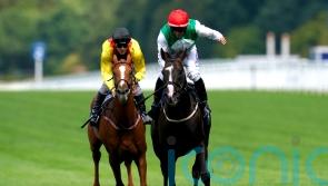 Pyledriver in great form, with plan still to head straight to Paris