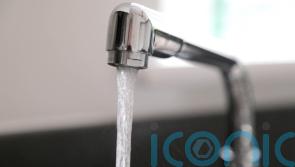 GUIDE: How Carlow households can cut back on water use as temperatures soar