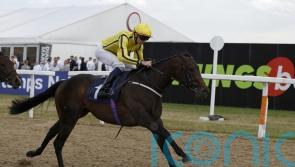 Unbeaten Clearpoint heading for Gimcrack at York
