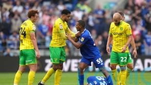 Cardiff and Norwich fined by FA after flashpoint in recent Championship clash