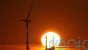 Energy boss adds to calls for Sunak, Truss and Johnson to come together on bills