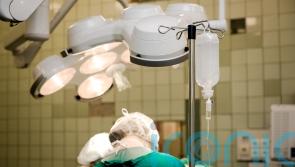 Test could transform liver transplants by predicting complications – scientists