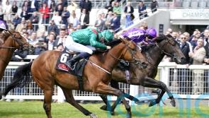 National Stakes in the reckoning for Shartash