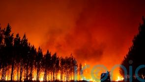 Firefighters battle major wildfire in France