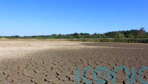 England-wide hosepipe ban ‘should be imposed to protect rivers and wildlife’