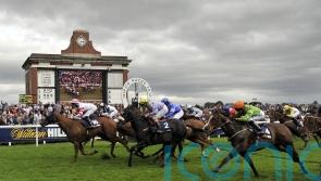 Ripon officials not surprised as Great St Wilfrid draws reduced field