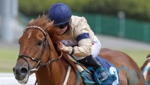 Hollie Doyle hails ‘star’ Glen Shiel as Group One winner is retired