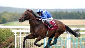‘Everything on schedule’ with Baaeed, as International challenge looms