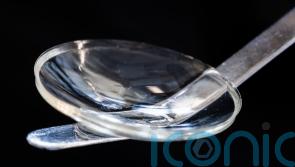 Cornea implant made from pig skin can restore eyesight to blind, study suggests