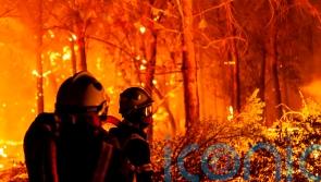 European firefighters join battle to stop French wildfires