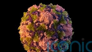 Polio detected in NYC&rsquo;s sewage, suggesting virus circulating