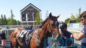 Oj Lifestyle shocks Newbury field with 125-1 success
