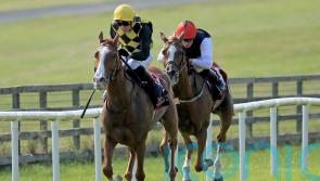 Raise You rises once more at the Curragh