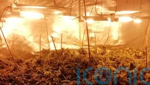 Man charged after seizure of 400,000 euro worth of cannabis at Galway house
