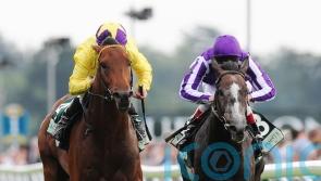 Like father, like son? Oxx expecting Baaeed to go the distance