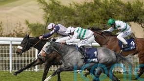 Morris relishing latest opportunity with Alpinista
