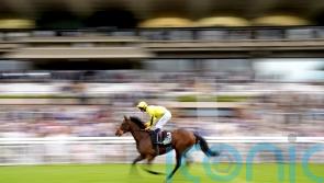 Cox sets sights on Flying Five with Caturra