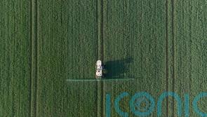 Ministers ‘worrying about votes’ while crops rot in fields – food industry