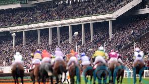 Cheltenham to cap Festival attendances in 2023