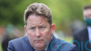 Housing Minister says An Bord Pleanala appointments to be halted pending reforms