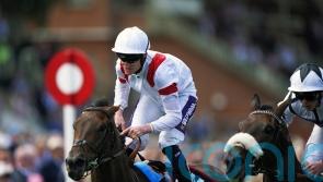 Ferguson has high hopes for Great Voltigeur pair