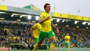 Josh Sargent and Danel Sinani score as Norwich beat Huddersfield
