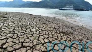 Chinese factories shut down after drought hits power supplies