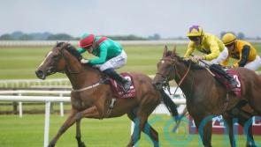 Coco team wary of Alpinista challenge ahead of Yorkshire Oaks date