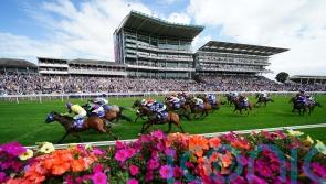 Bergerac on the case for York supporters