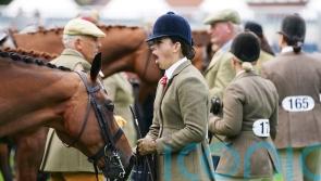 Thousands of spectators enjoy return of Dublin Horse Show after pandemic